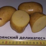 Krompir bryansk delikates